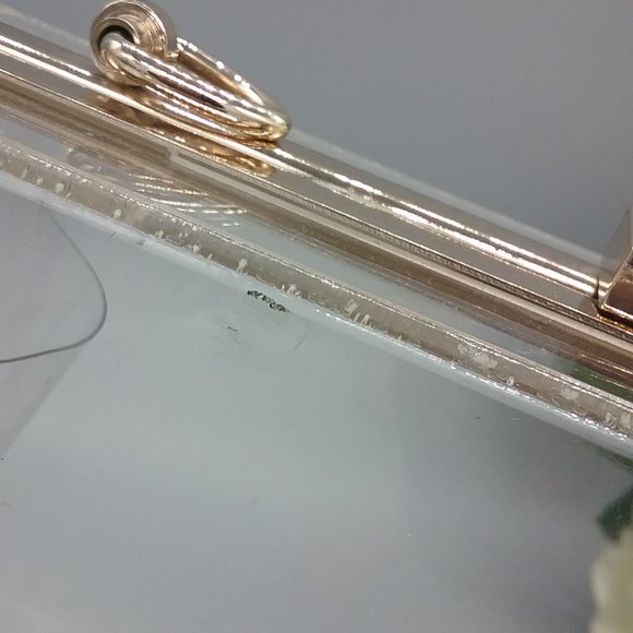 Transparent Acrylic Clutch - Picture 4 of 10